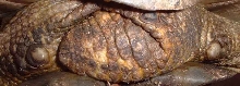 pic 6