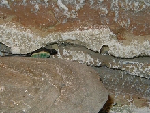 Thermometer sensor lodge in rocks in basking area