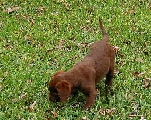 2 month old Logan