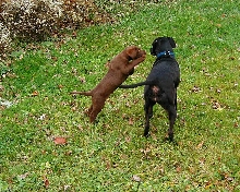 Logan on the attack!