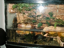 Paludarium