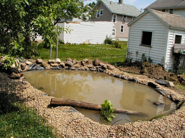 Phase 1 of landscaping complete