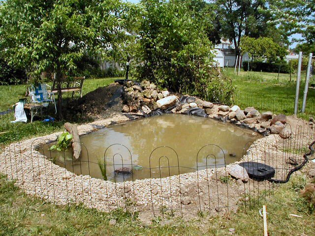 Phase 1 of landscaping complete
