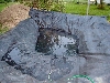Filling the pond with water