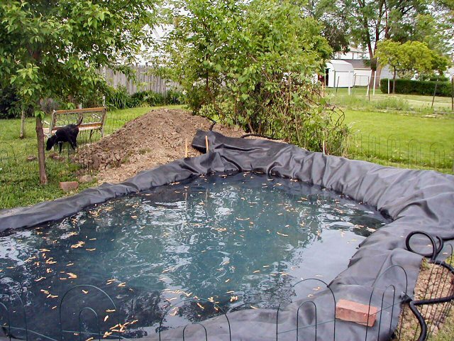 Filling the pond with water