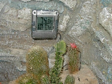 Dual thermometer