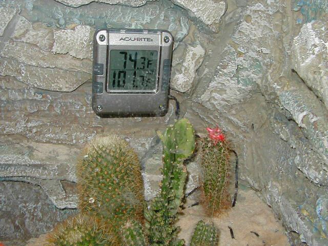 Dual thermometer