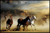 Horses