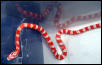 orange candy cane