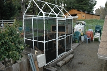 Outdoor Iguana Enclosure