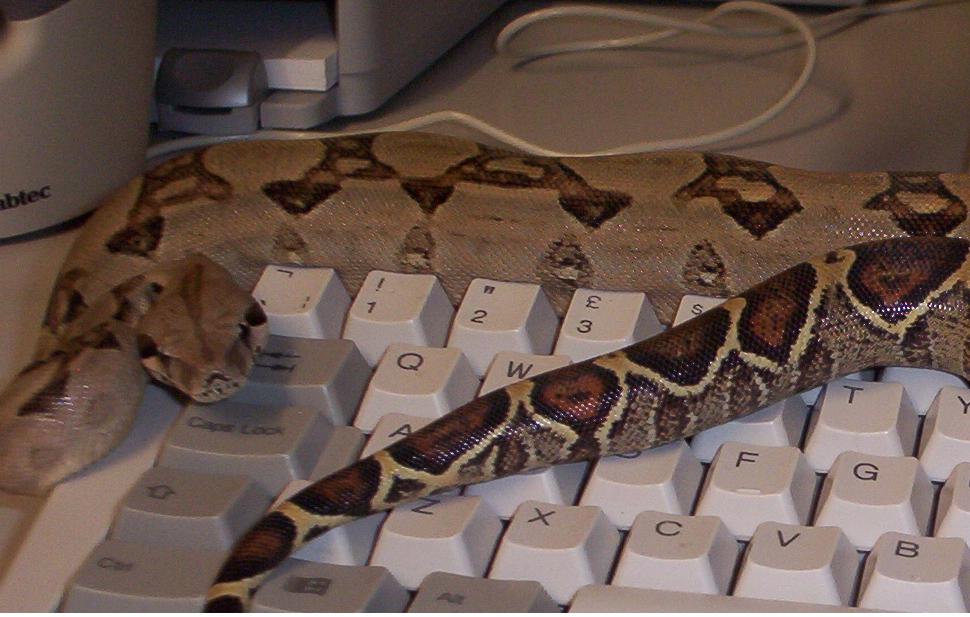 bci on keyboard
