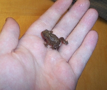 Found @ night on road
