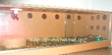 Lachesis Terrarium