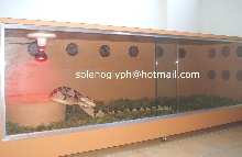 Lachesis Terrarium