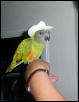 Howdy Partner