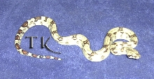 Het Albino Red Tail Boa!