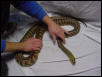Hamper Female 7 yr old 7'