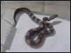 Anery Boa