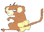 monkey