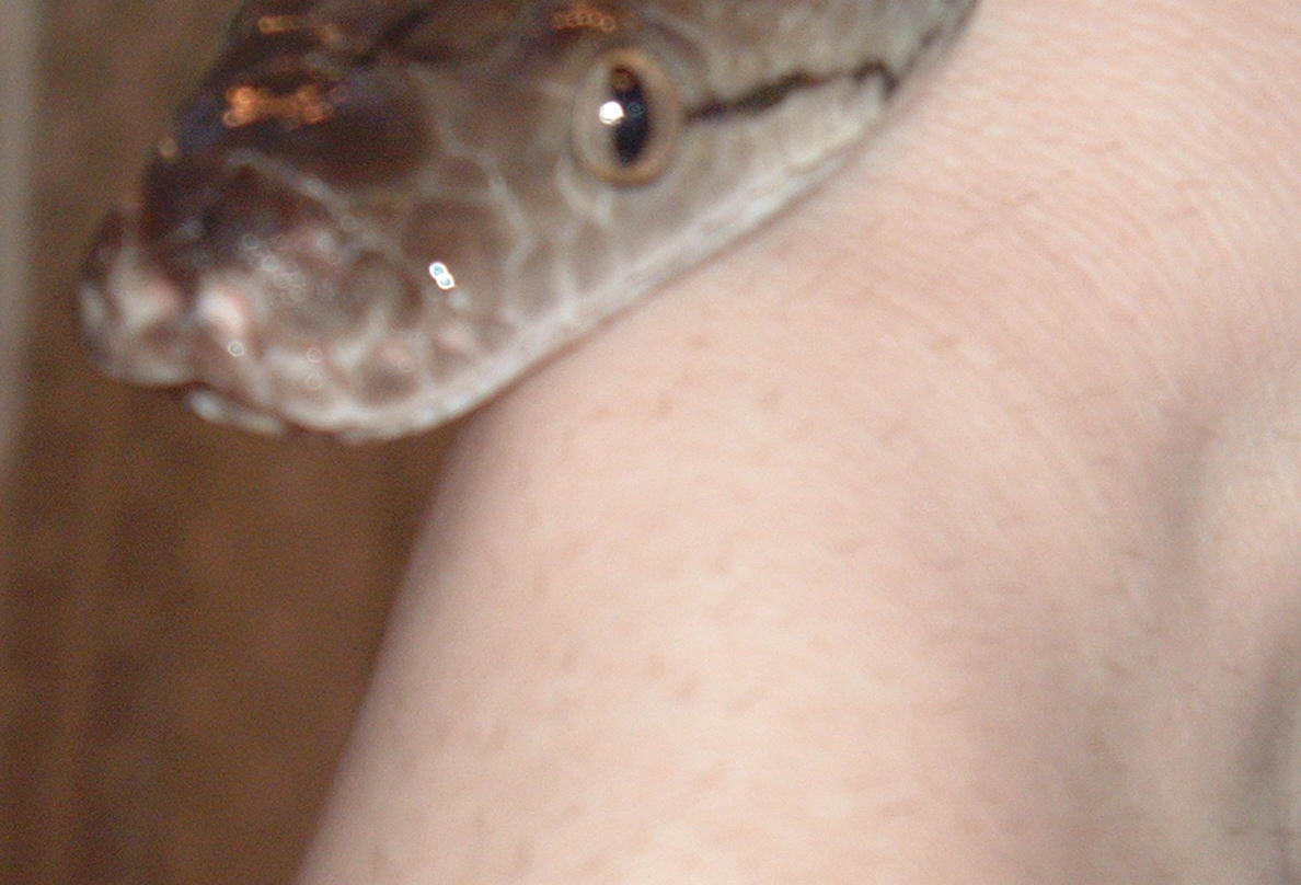 My Jampea's Head :)