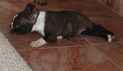 Ok Im tired now!