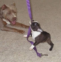 I can hang on!