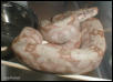 Female 02