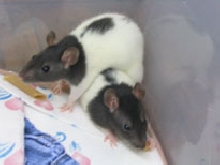 MeiMei sitting on her sister