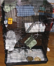 690 cage