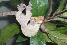 uncomfortable sleeping position