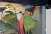 just hanging around