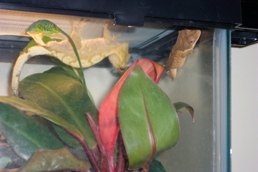 just hanging around