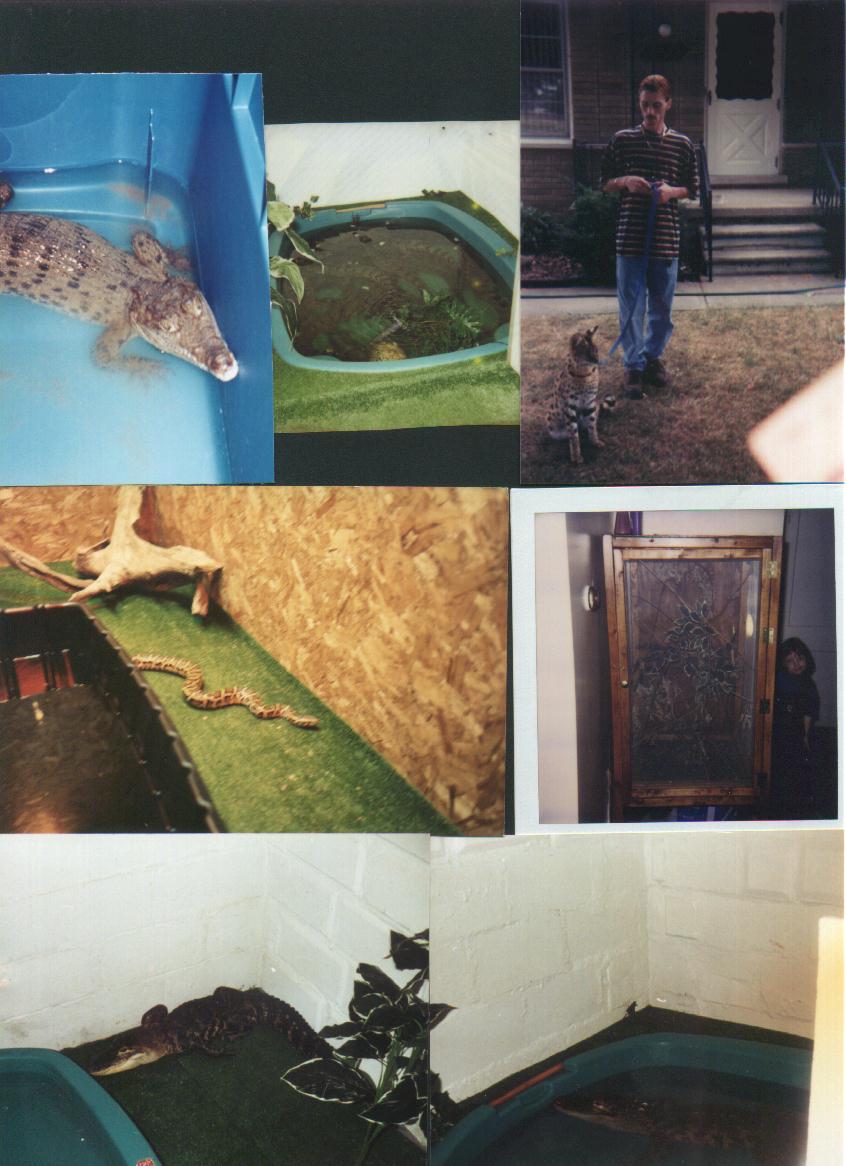 Just a few animals