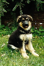 baby Ellie