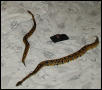 This my male and female chillin out