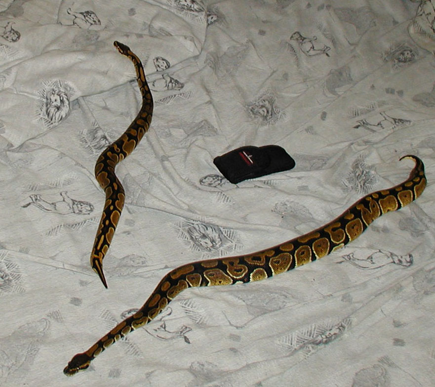 This my male and female chillin out