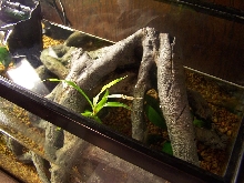 Top View