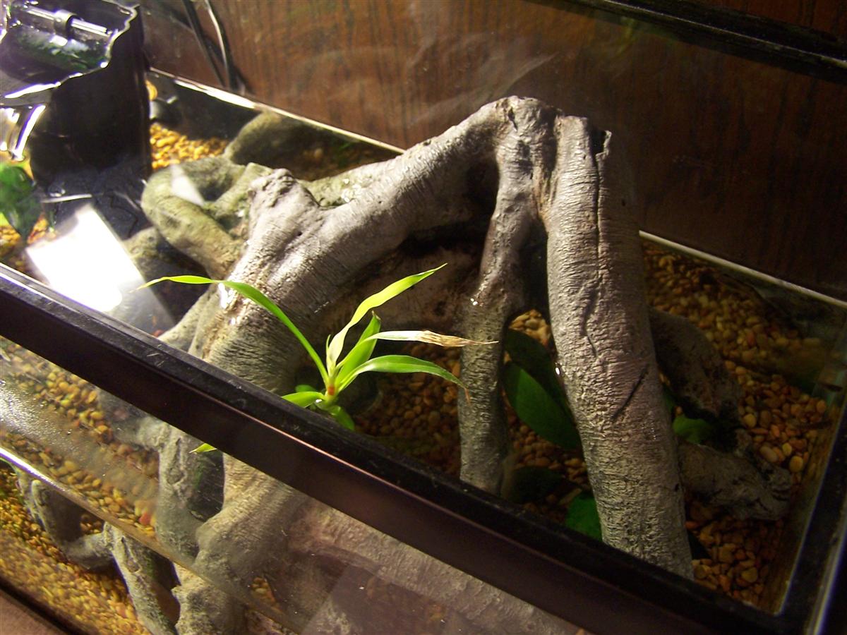 Top View