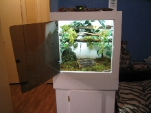 chondro cage