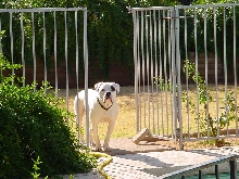 on the look out