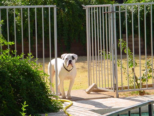 on the look out