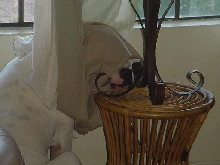 he's a weirdo