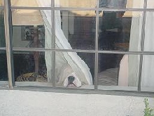 he's hiding
