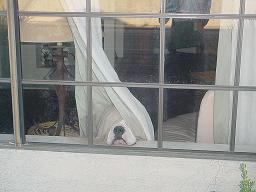 he's hiding