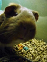 Pokey, Loving the Camera.