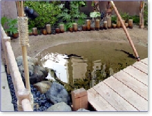 Shark lagoon