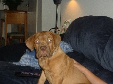 Ramius 10-16-03-2