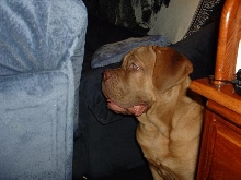 Ramius Profile