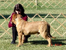 Ramius 1-10-04
