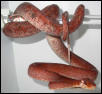 Amazon Tree Boa